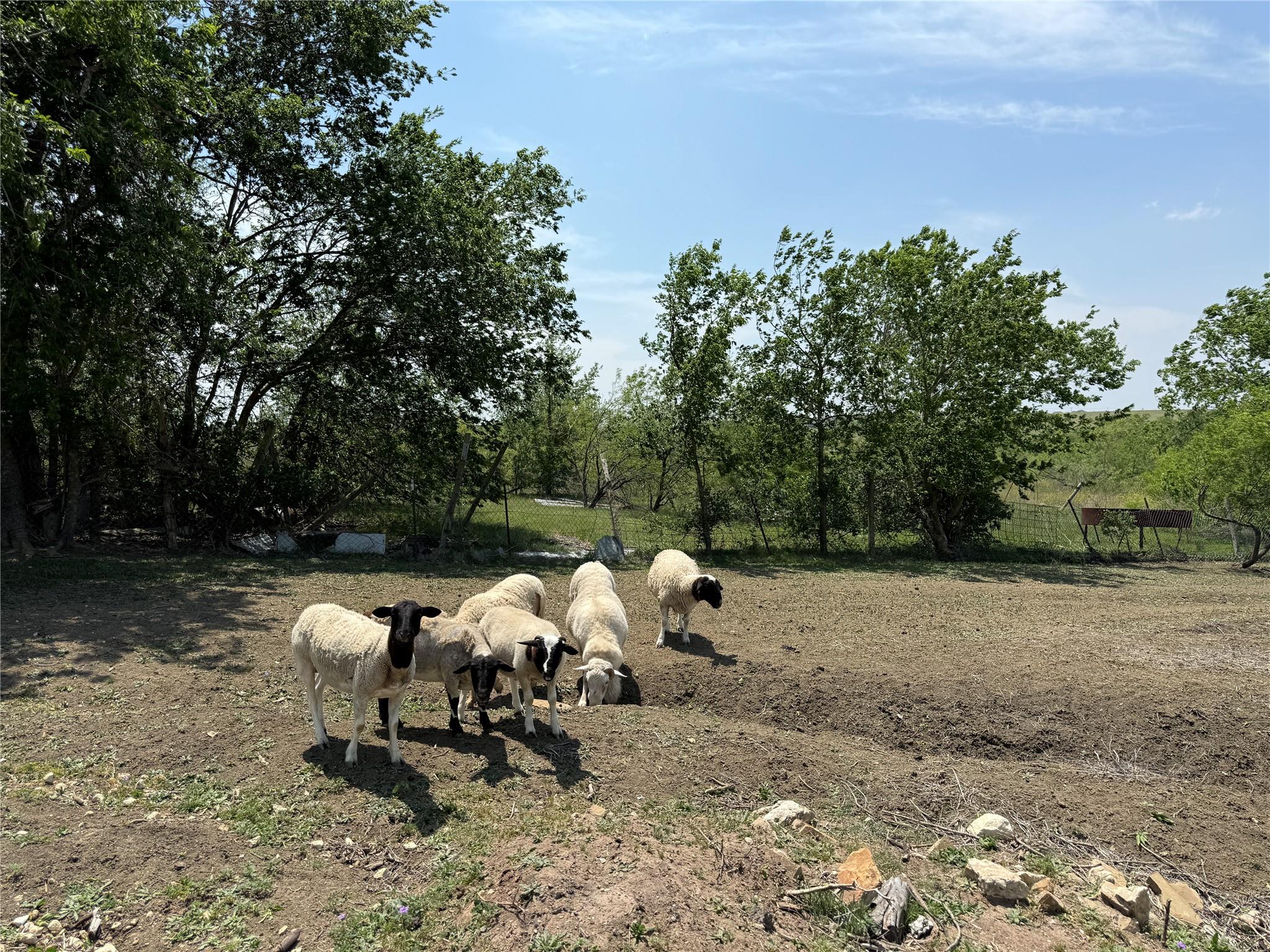 1796 County Road 139 Rd, Hutto, TX 78634