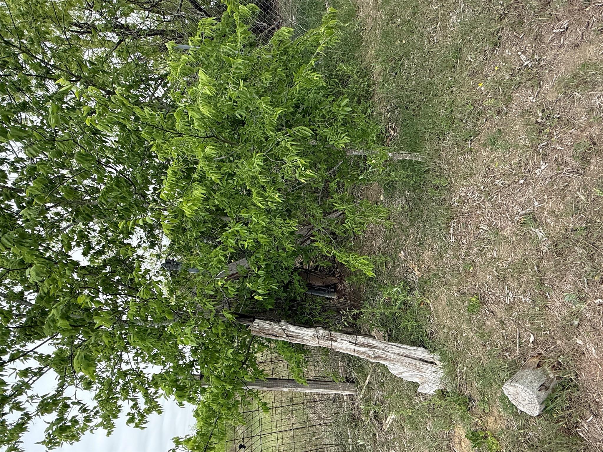 1796 County Road 139 Rd, Hutto, TX 78634