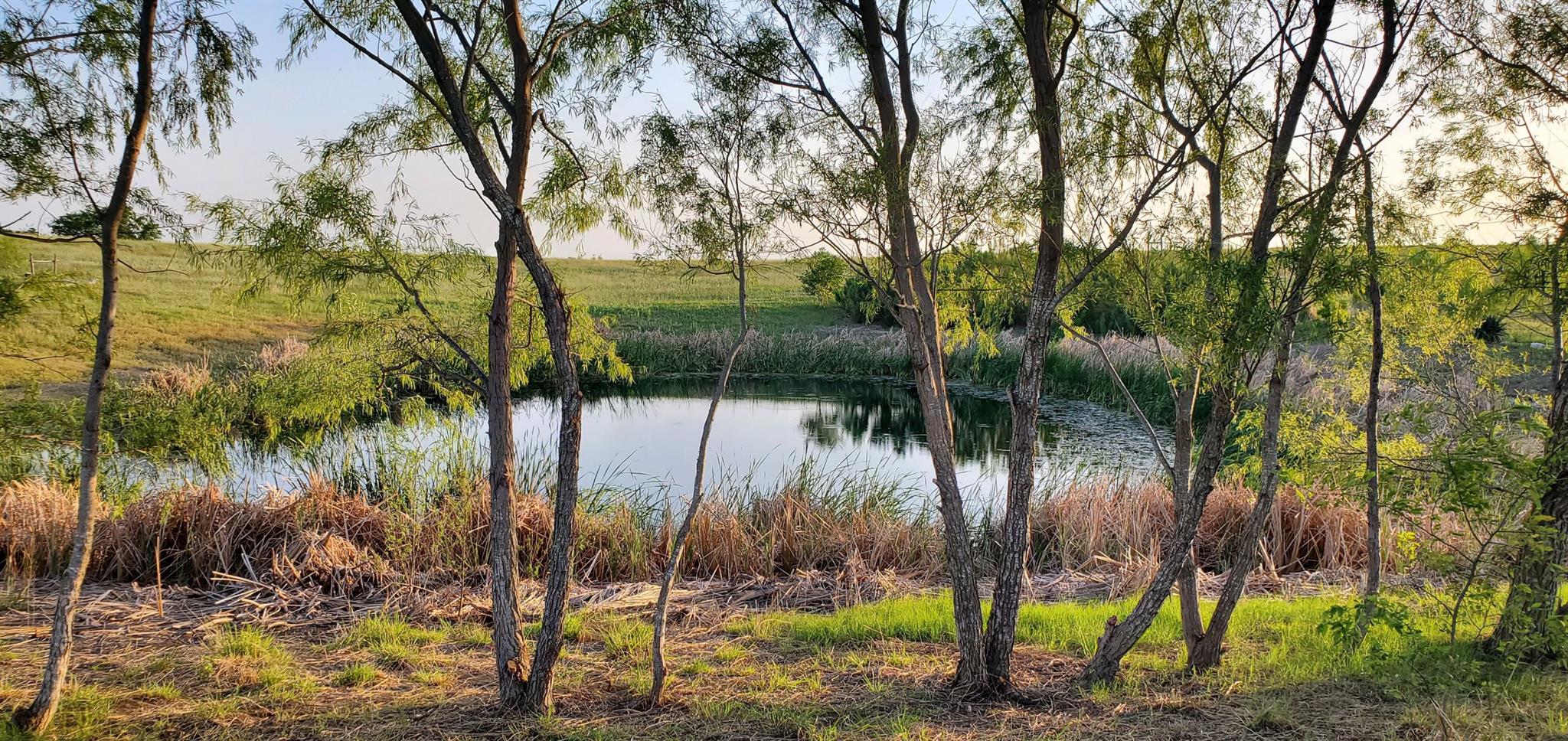 975 County Rd 458 (10 Acres), Coupland, TX 78615