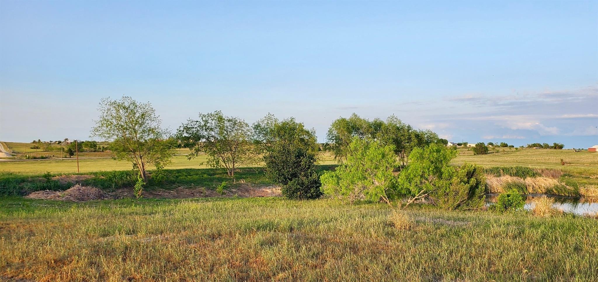 975 County Rd 458 (10 Acres), Coupland, TX 78615