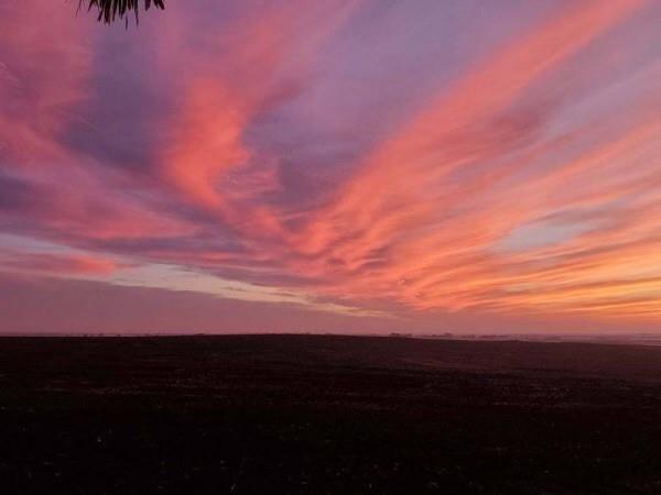 975 County Rd 458 (10 Acres), Coupland, TX 78615