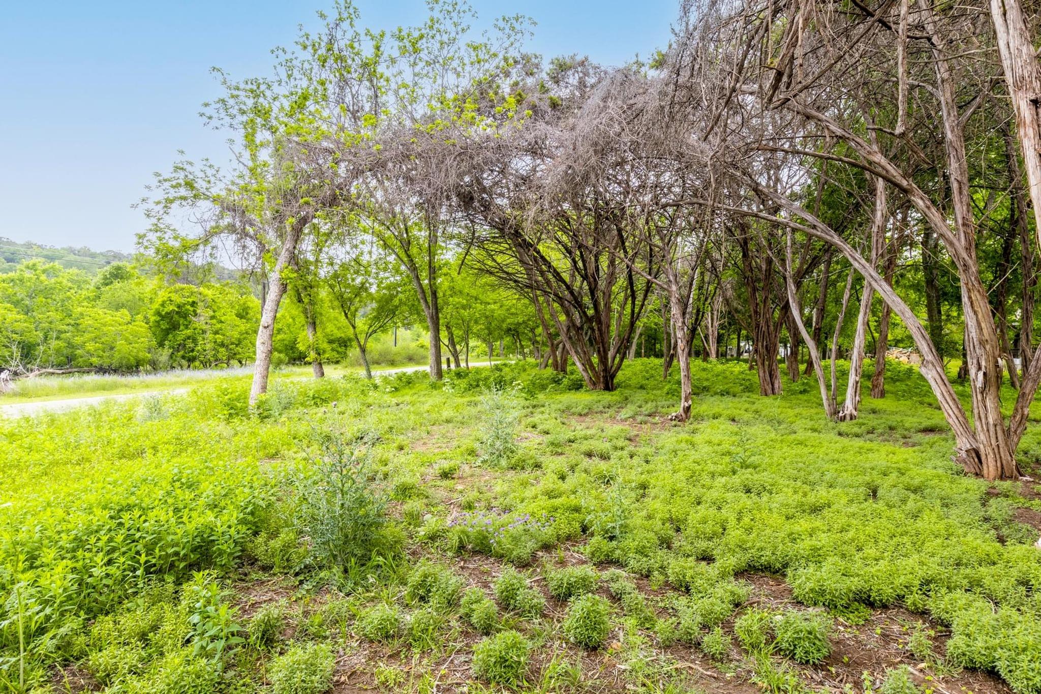 107 Edgewater Dr, Wimberley, TX 78676