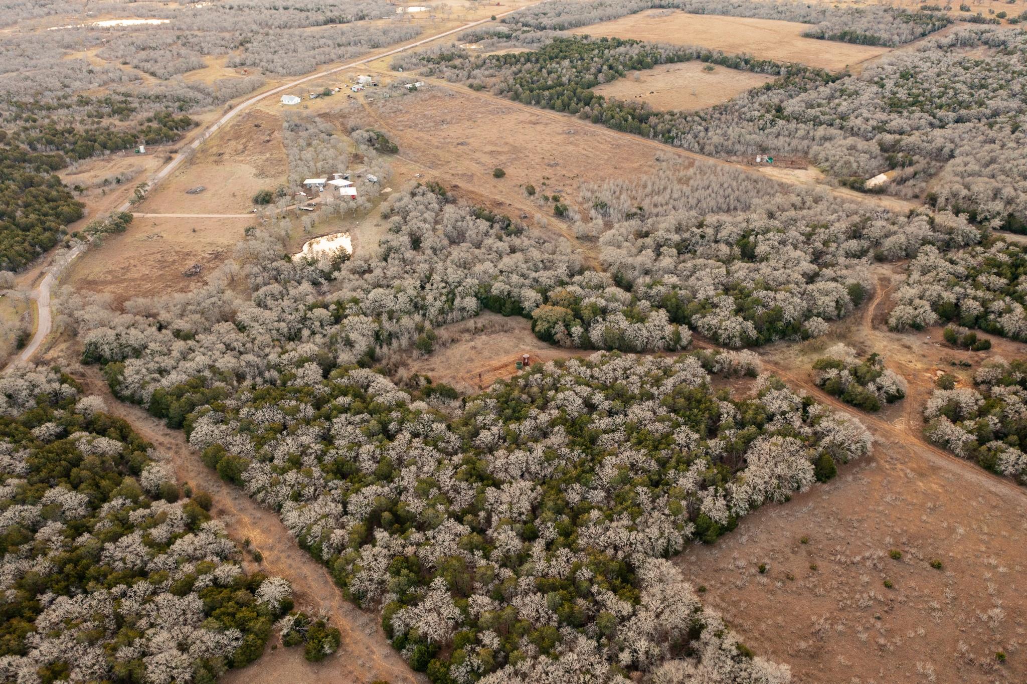 0000 TBD 21+/- Ac Grassyville Rd, Paige, TX 78659