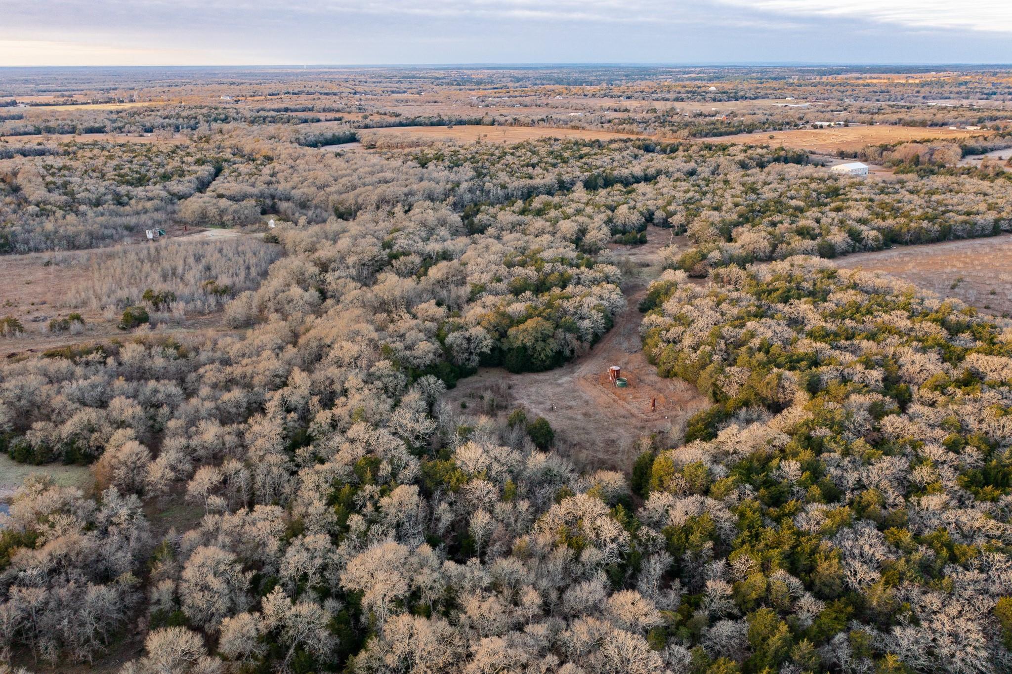 0000 TBD 21+/- Ac Grassyville Rd, Paige, TX 78659