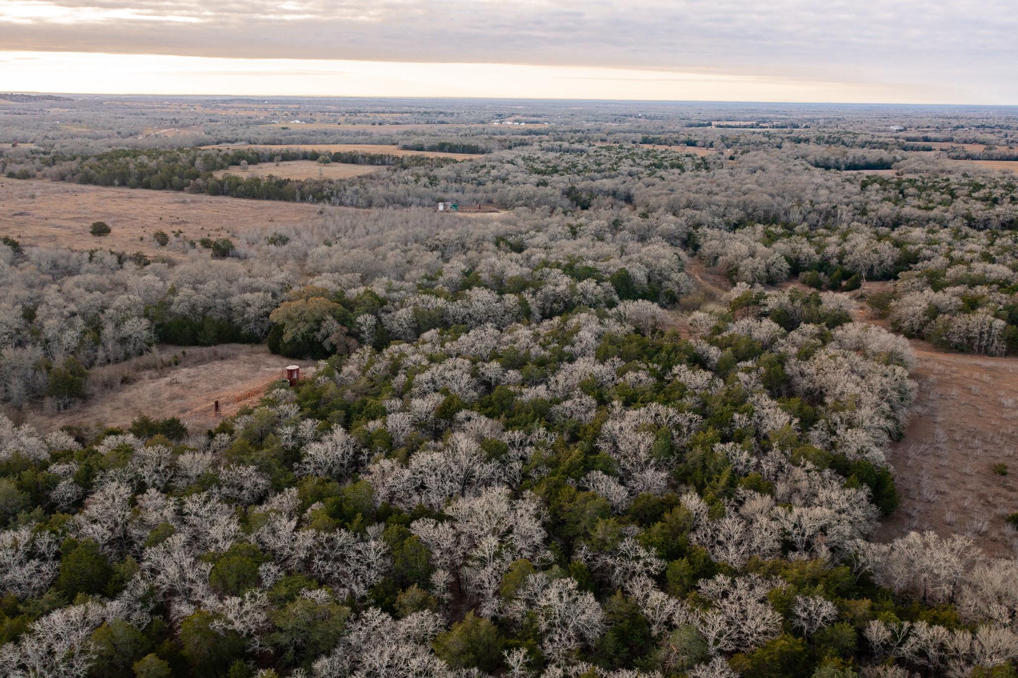 0000 TBD 21+/- Ac Grassyville Rd, Paige, TX 78659