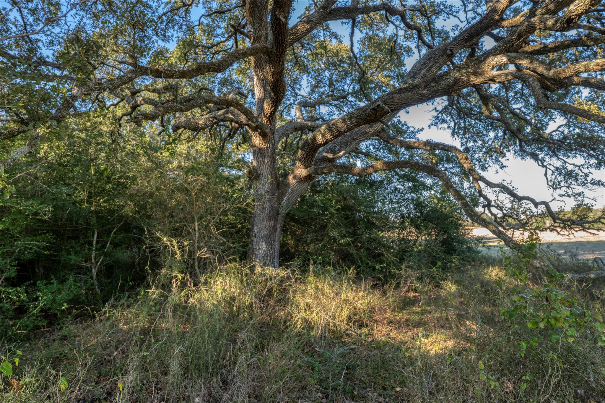 0 William Penn Rd, Washington, TX 77880