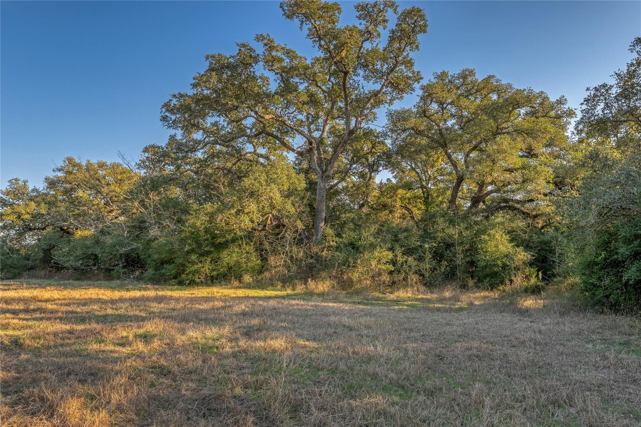 0 William Penn Rd, Washington, TX 77880