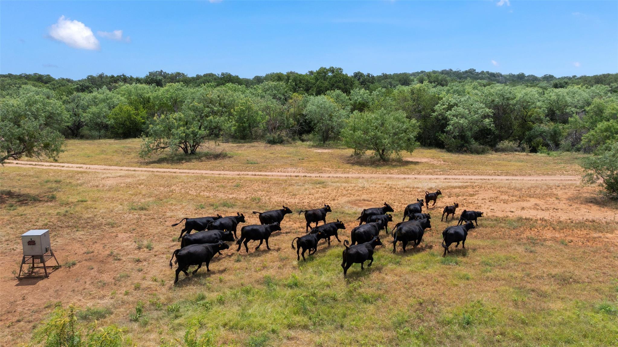 24434 E Highway 71, Horseshoe Bay, TX 78657