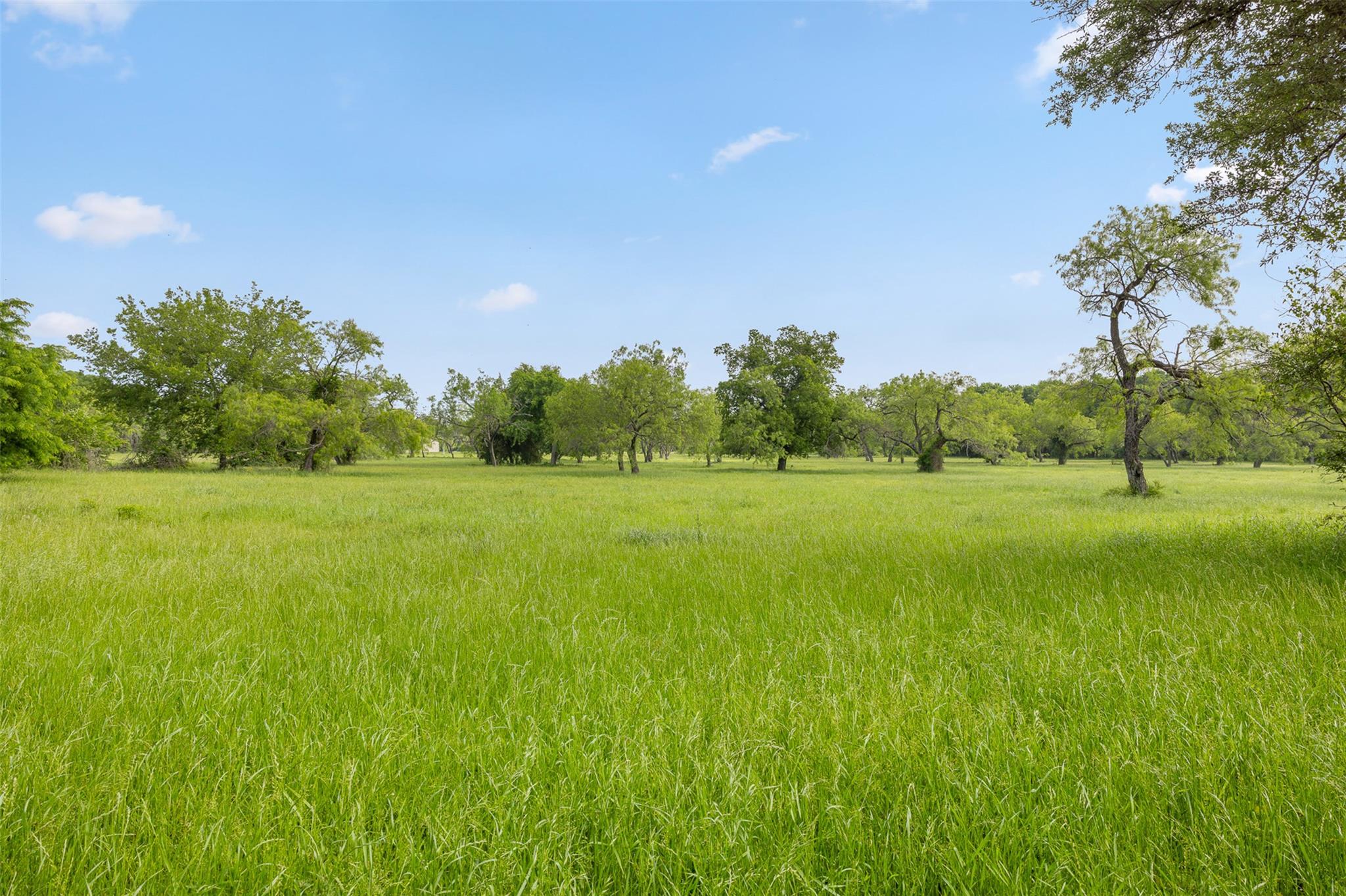 1129 Fm 1534, Hillsboro, TX 76645