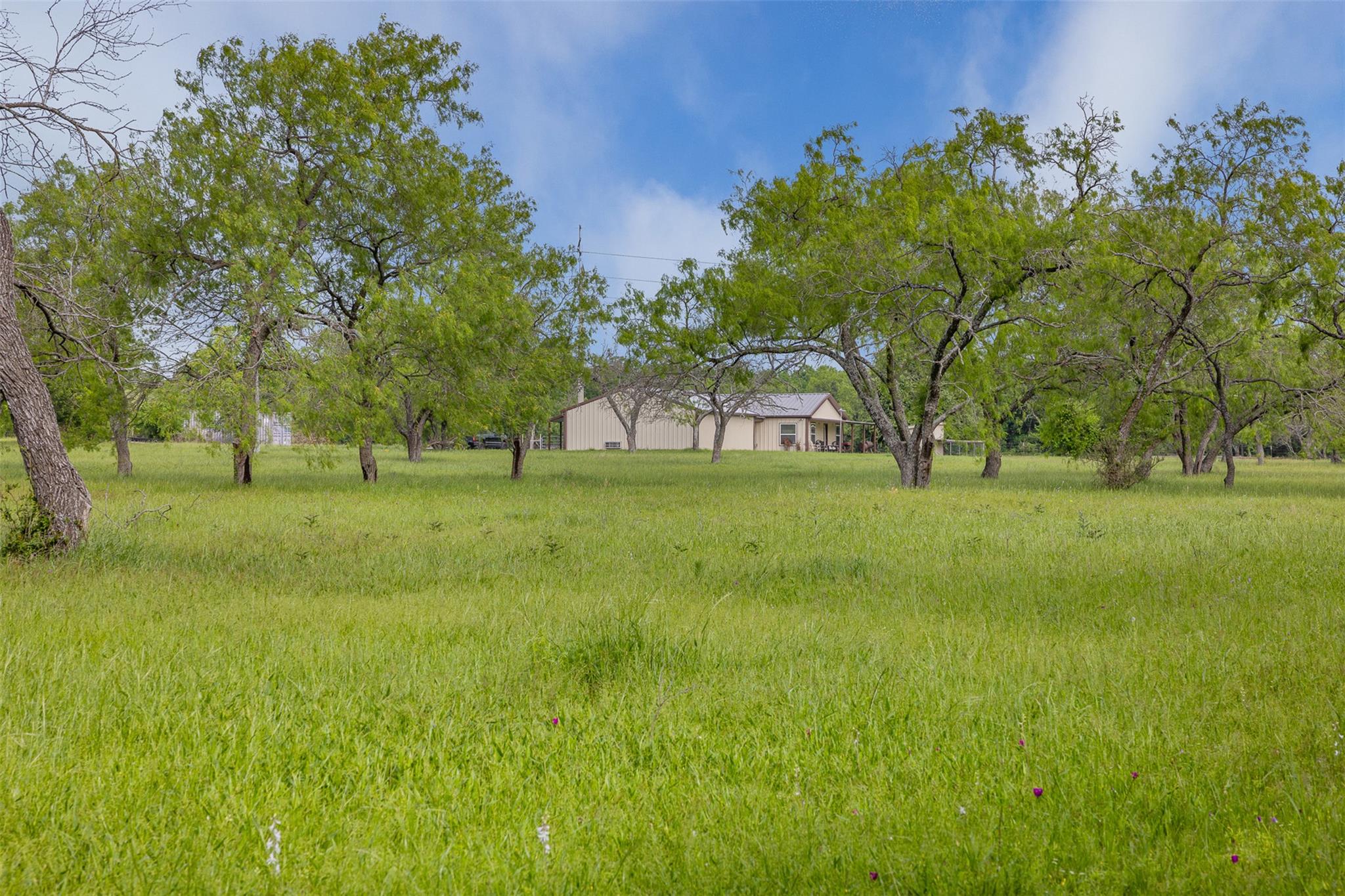 1129 Fm 1534, Hillsboro, TX 76645