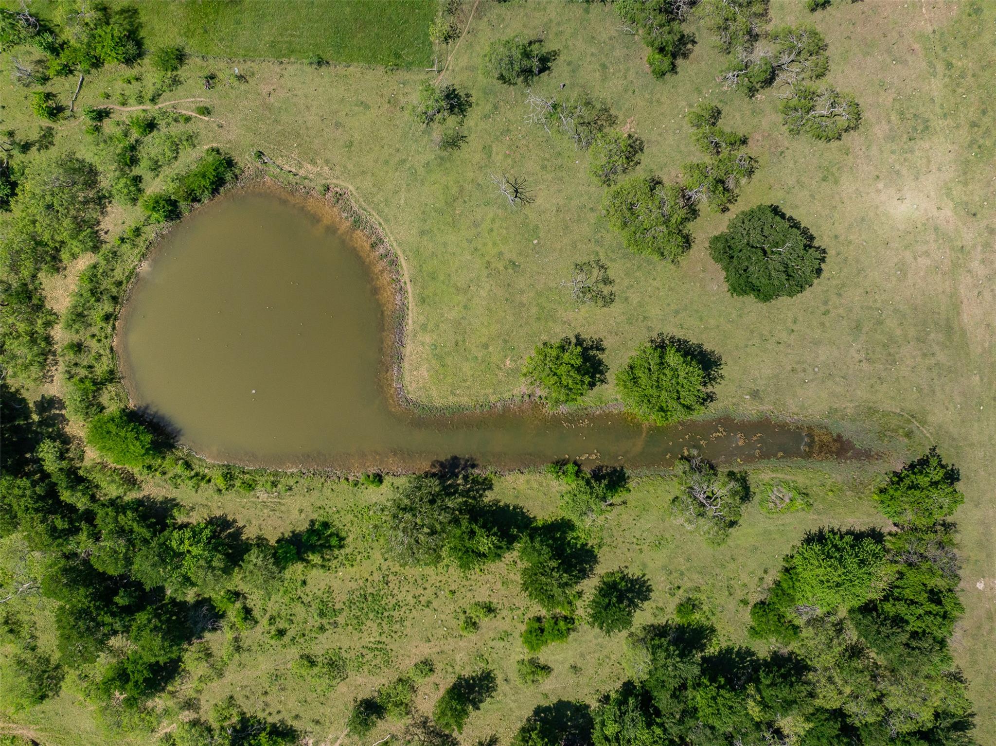 1129 Fm 1534, Hillsboro, TX 76645