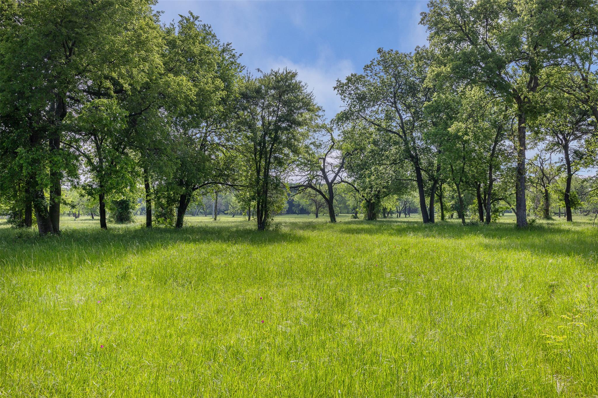 1129 Fm 1534, Hillsboro, TX 76645