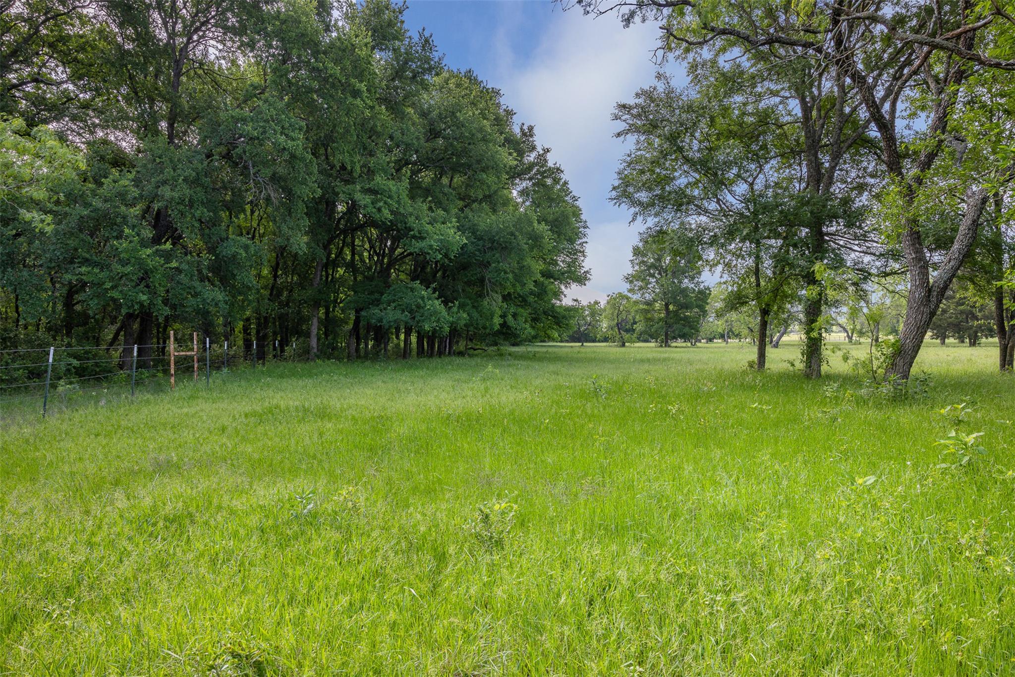 1129 Fm 1534, Hillsboro, TX 76645