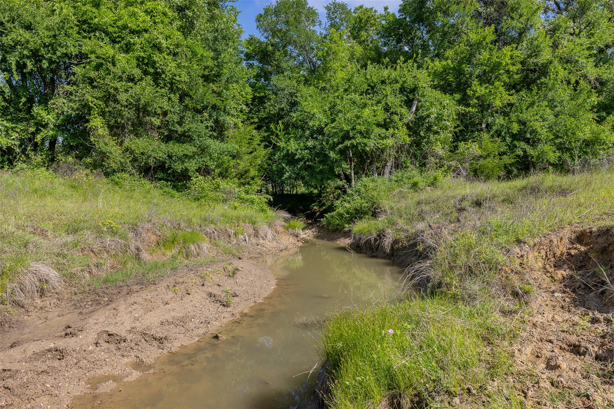 1129 Fm 1534, Hillsboro, TX 76645