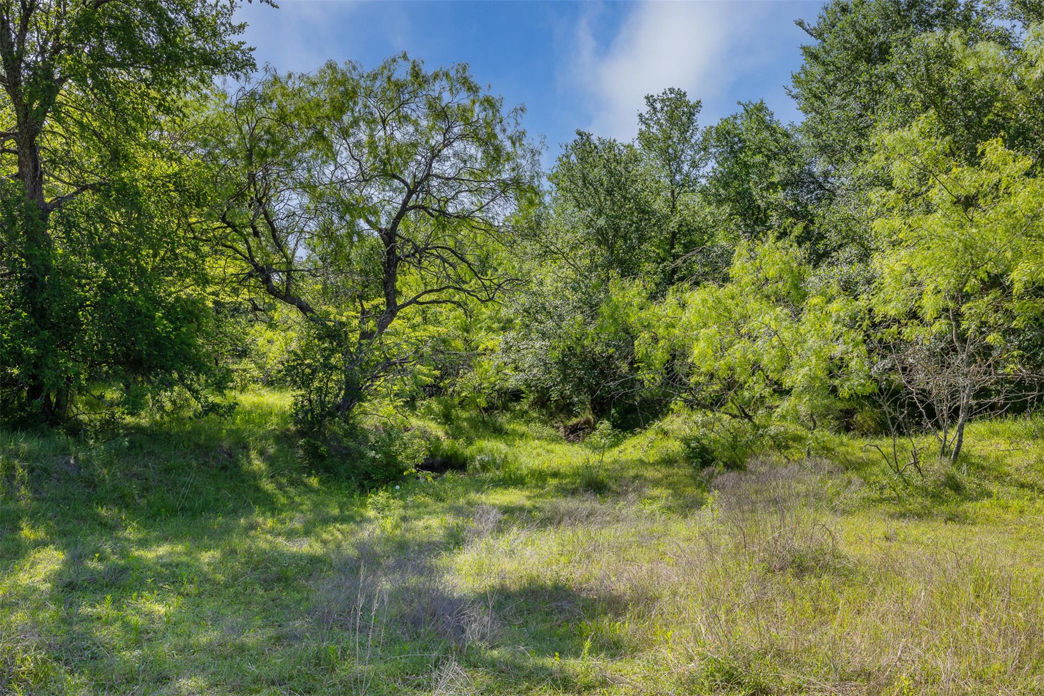 1129 Fm 1534, Hillsboro, TX 76645