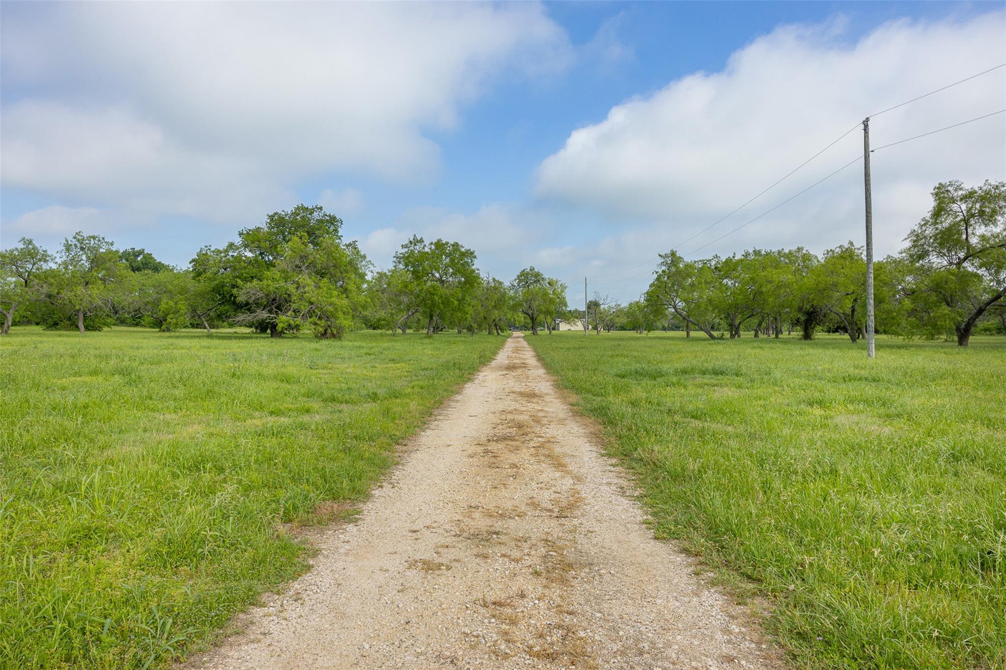 1129 Fm 1534, Hillsboro, TX 76645