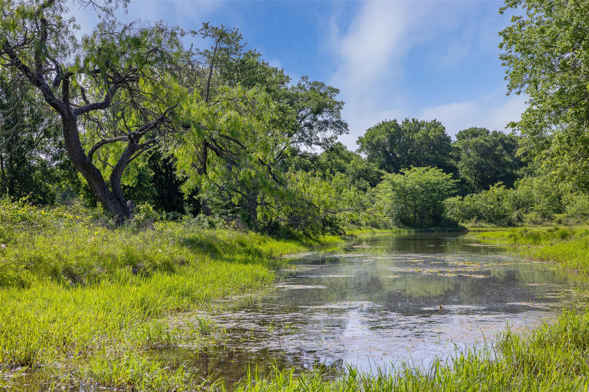 1129 Fm 1534, Hillsboro, TX 76645