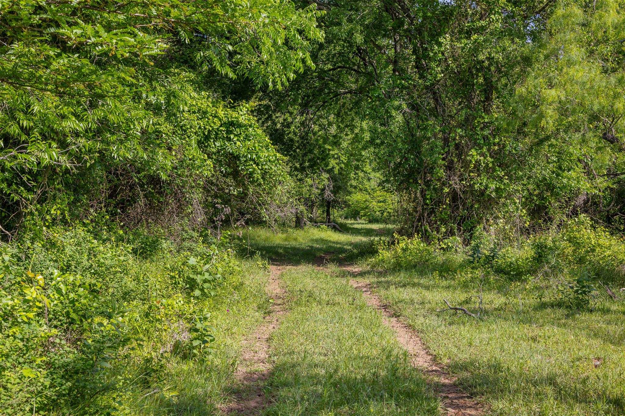 1129 Fm 1534, Hillsboro, TX 76645