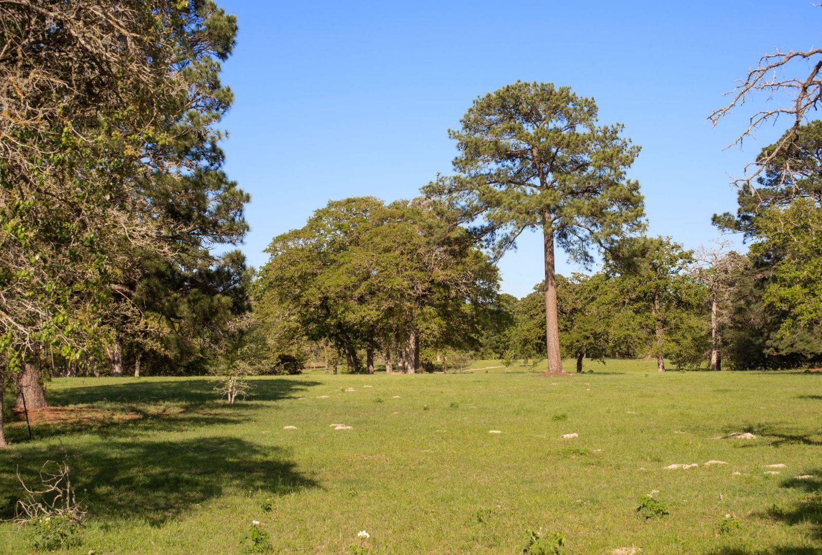 490 John Craft Rd, Red Rock, TX 78662