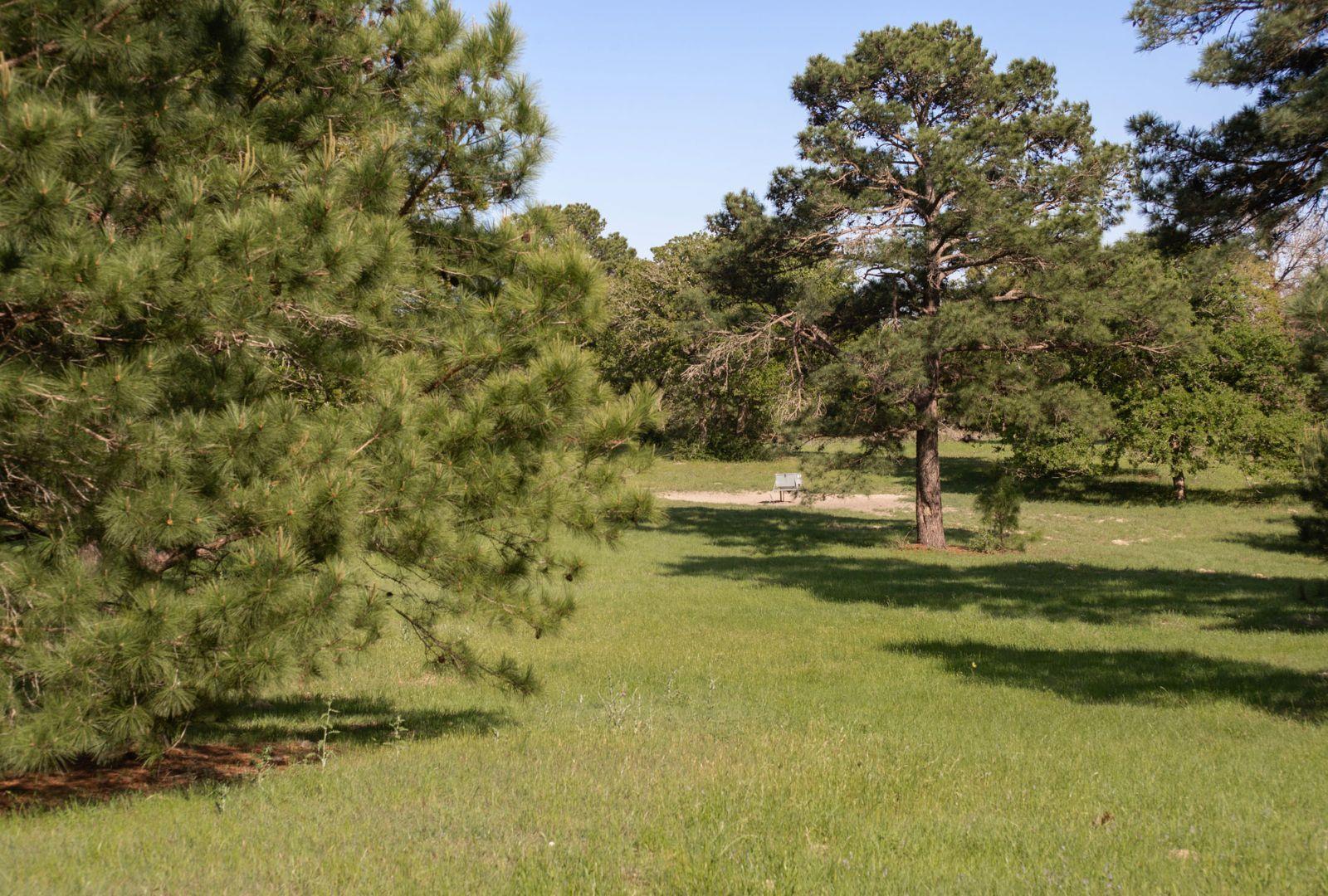 490 John Craft Rd, Red Rock, TX 78662