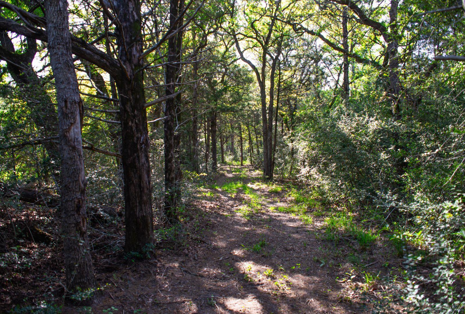 490 John Craft Rd, Red Rock, TX 78662