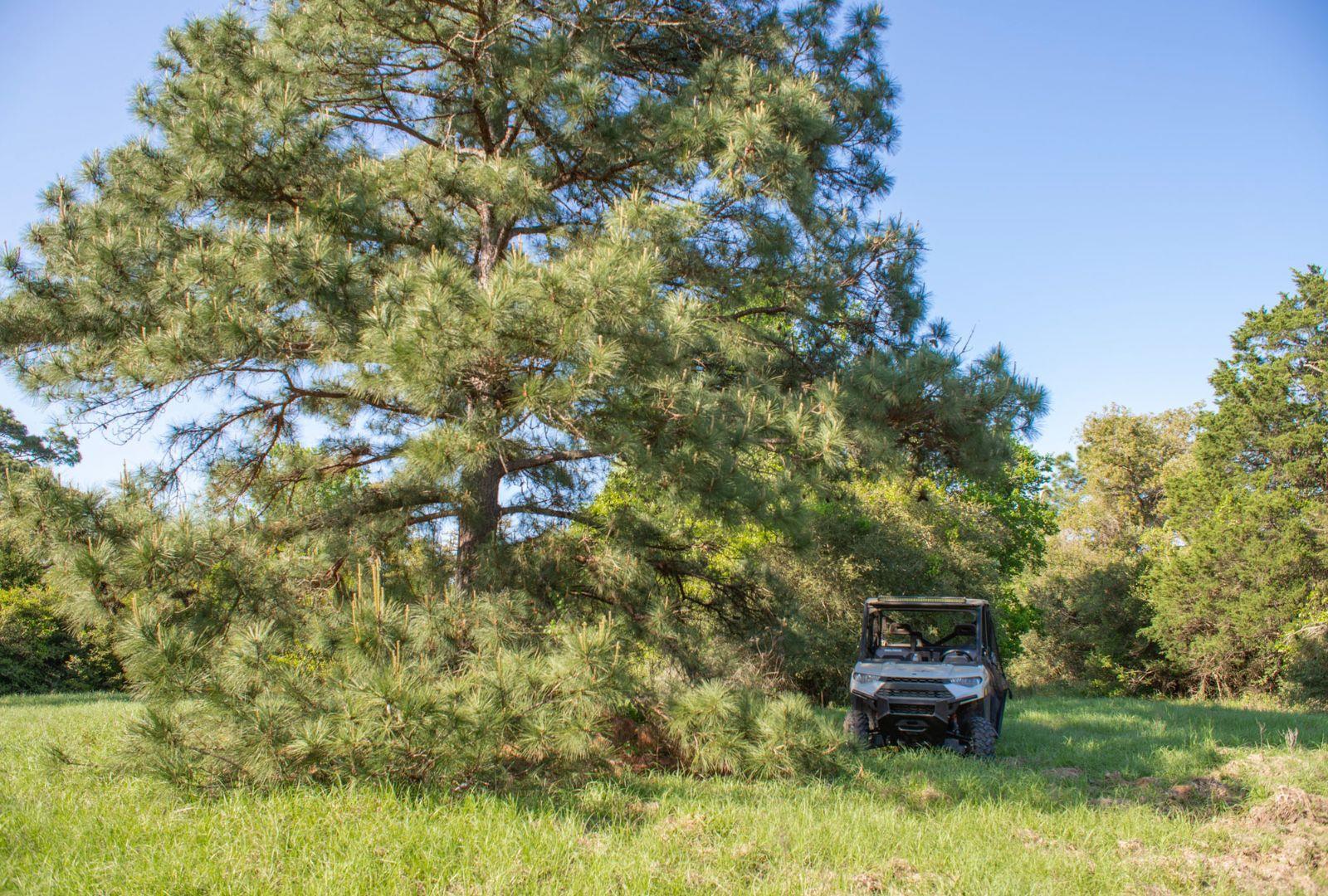 490 John Craft Rd, Red Rock, TX 78662