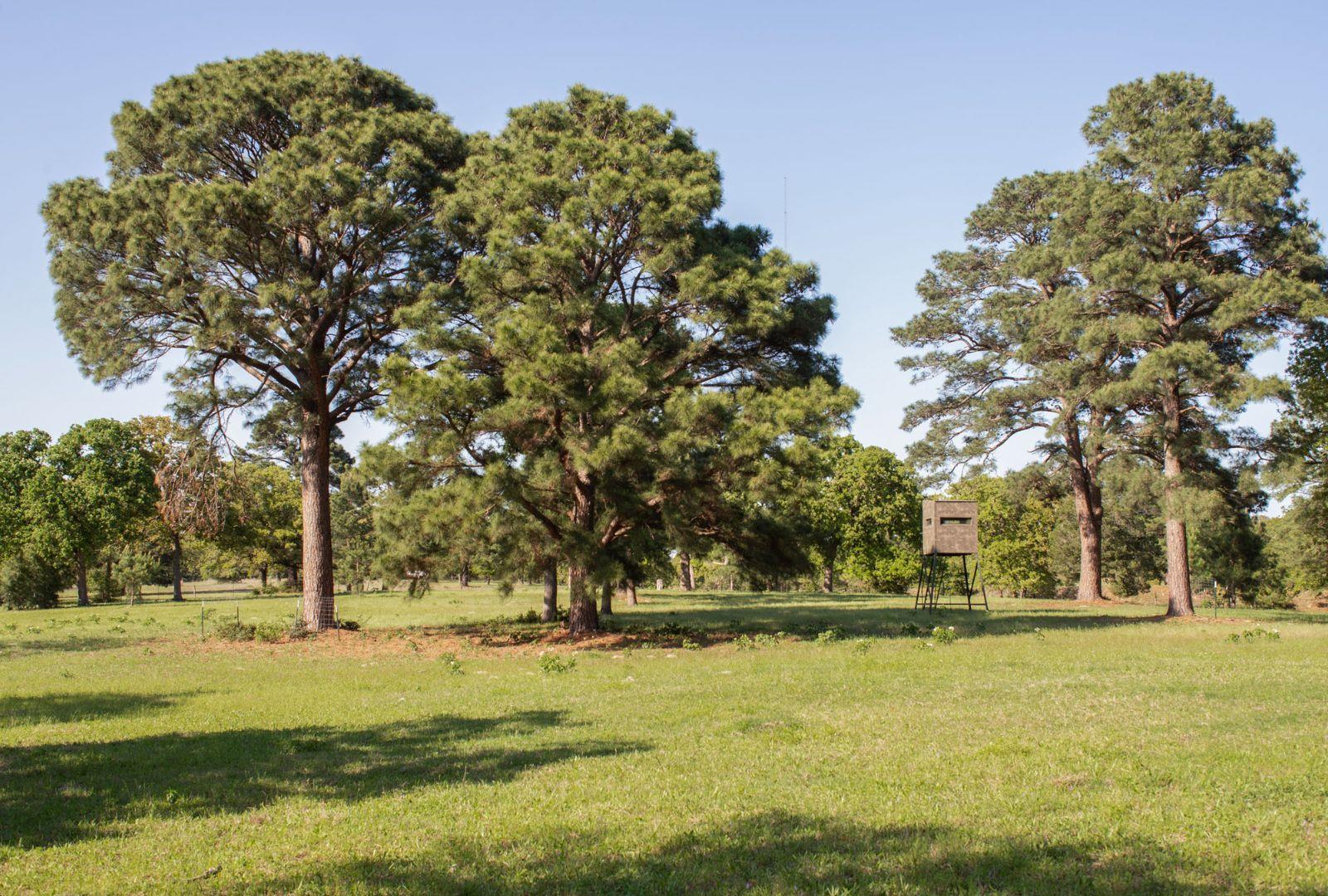 490 John Craft Rd, Red Rock, TX 78662