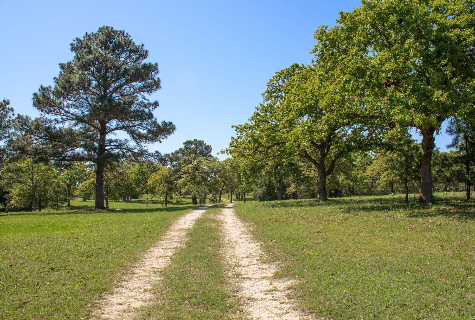 490 John Craft Rd, Red Rock, TX 78662