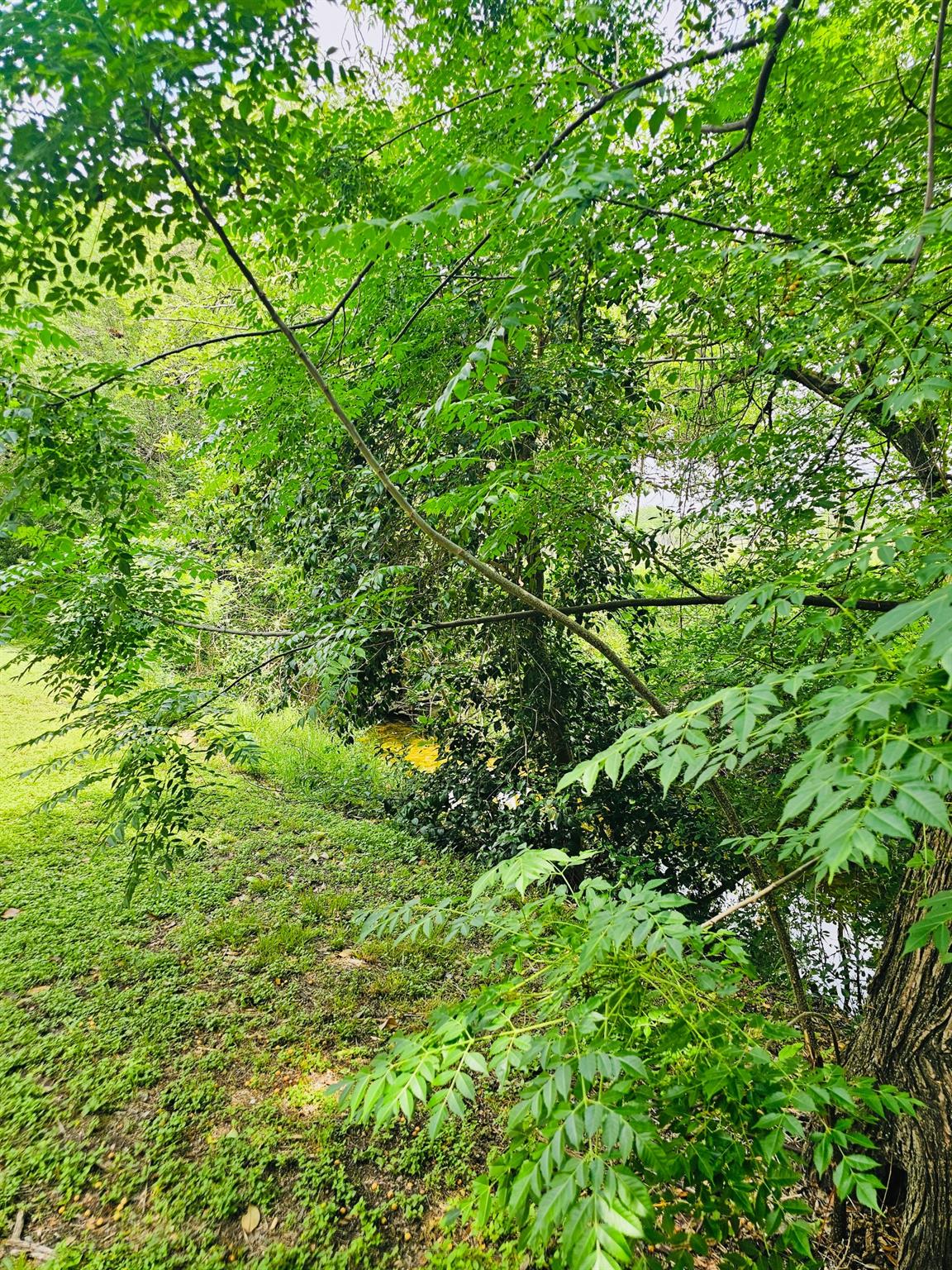 5107 Leralynn St # 304, Austin, TX 78751