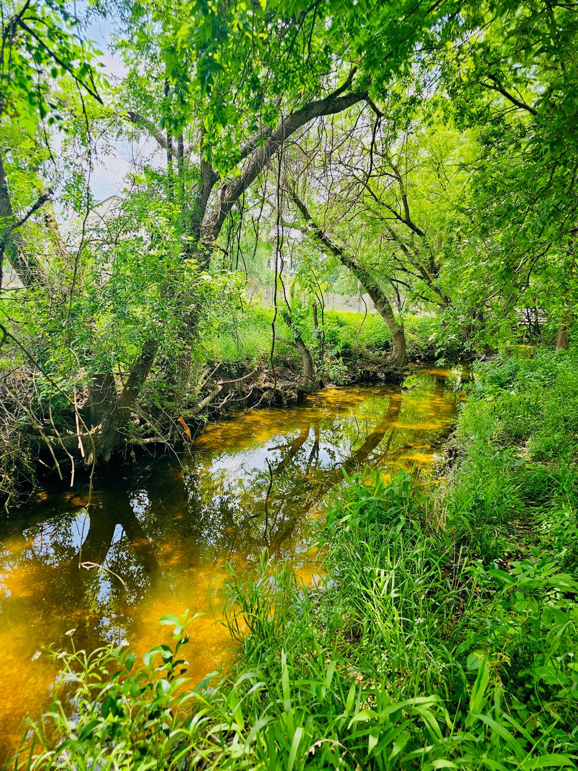 5107 Leralynn St # 304, Austin, TX 78751