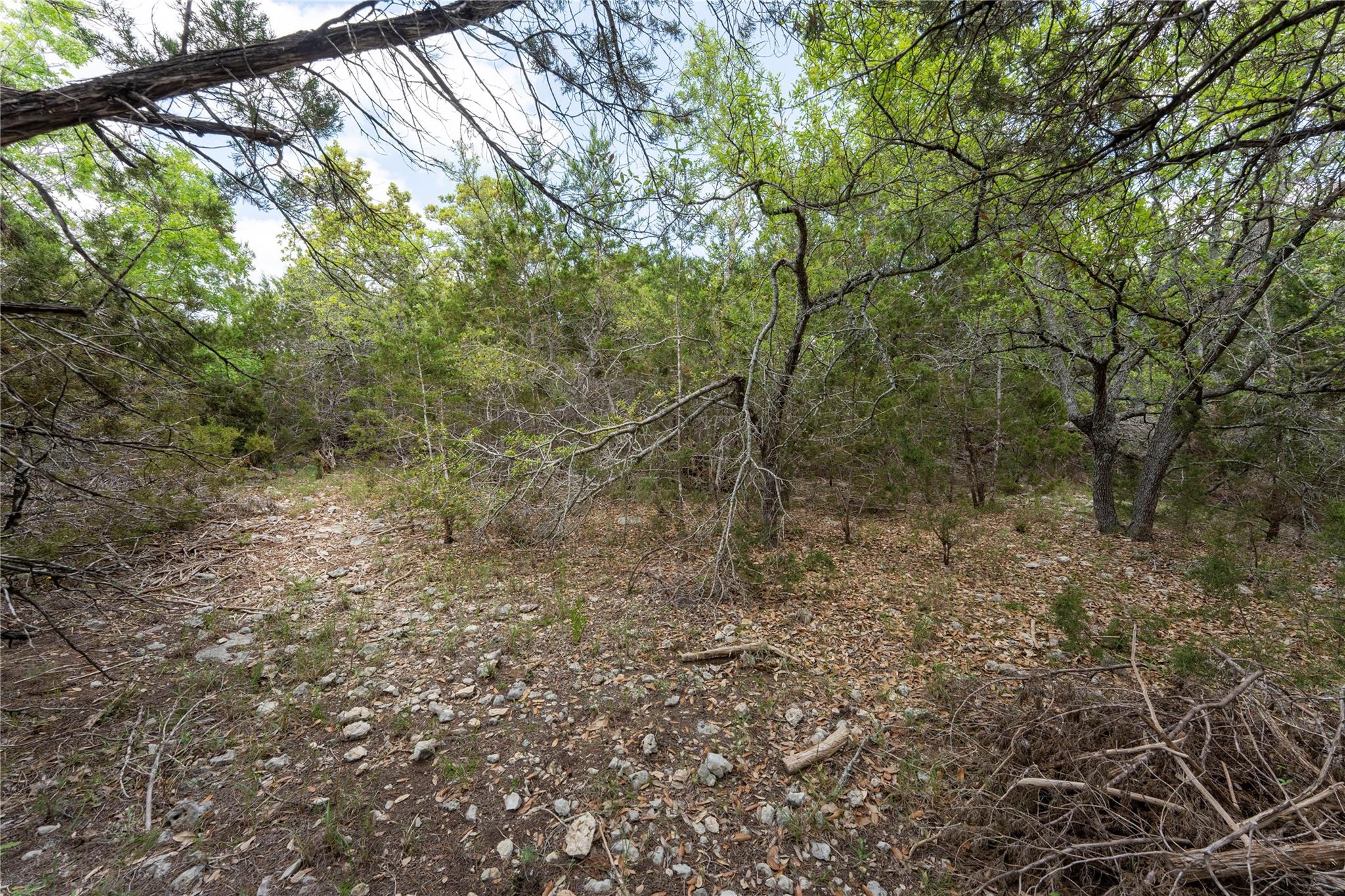 13921 Nutty Brown Rd, Austin, TX 78737