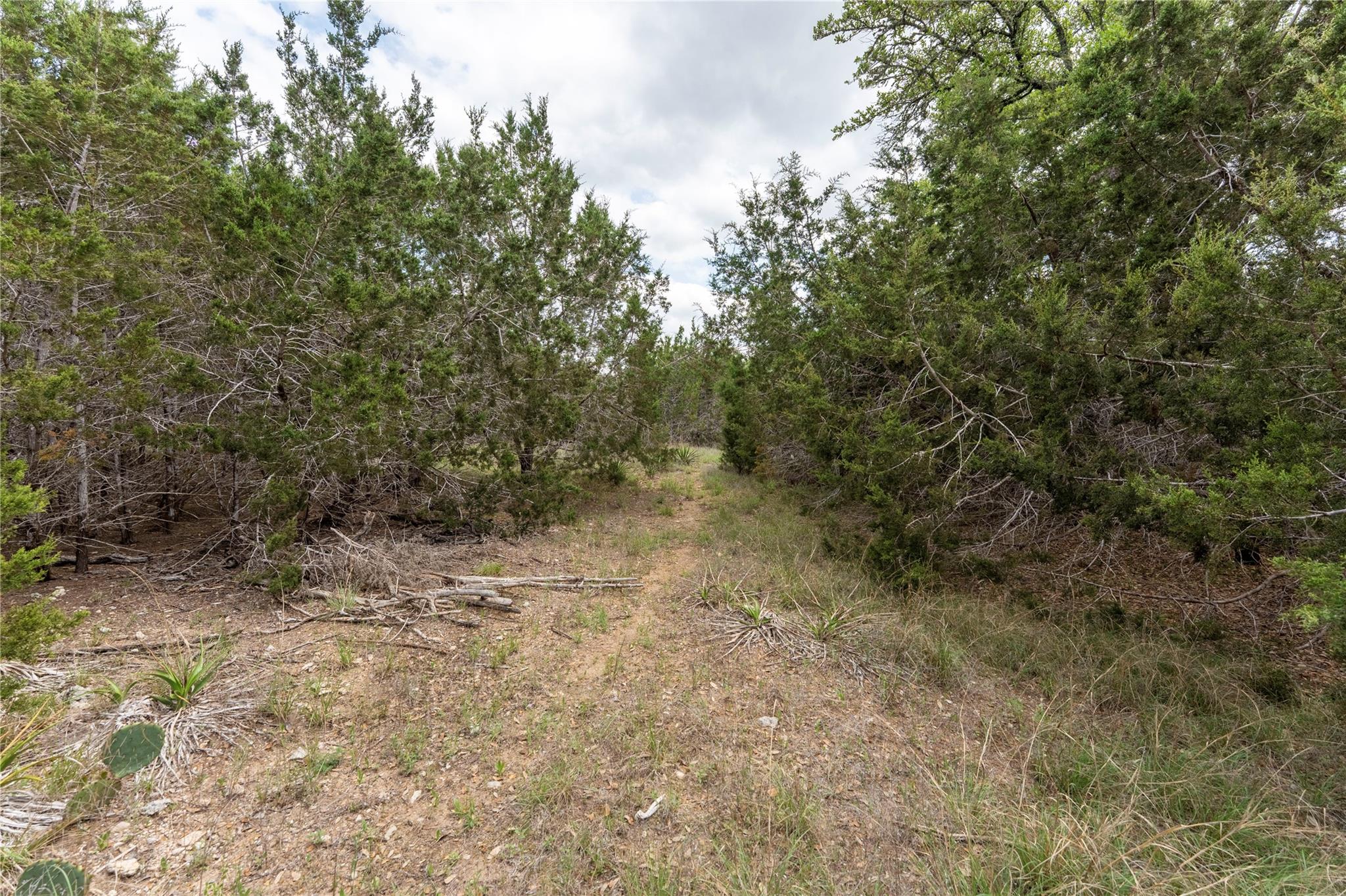 13921 Nutty Brown Rd, Austin, TX 78737