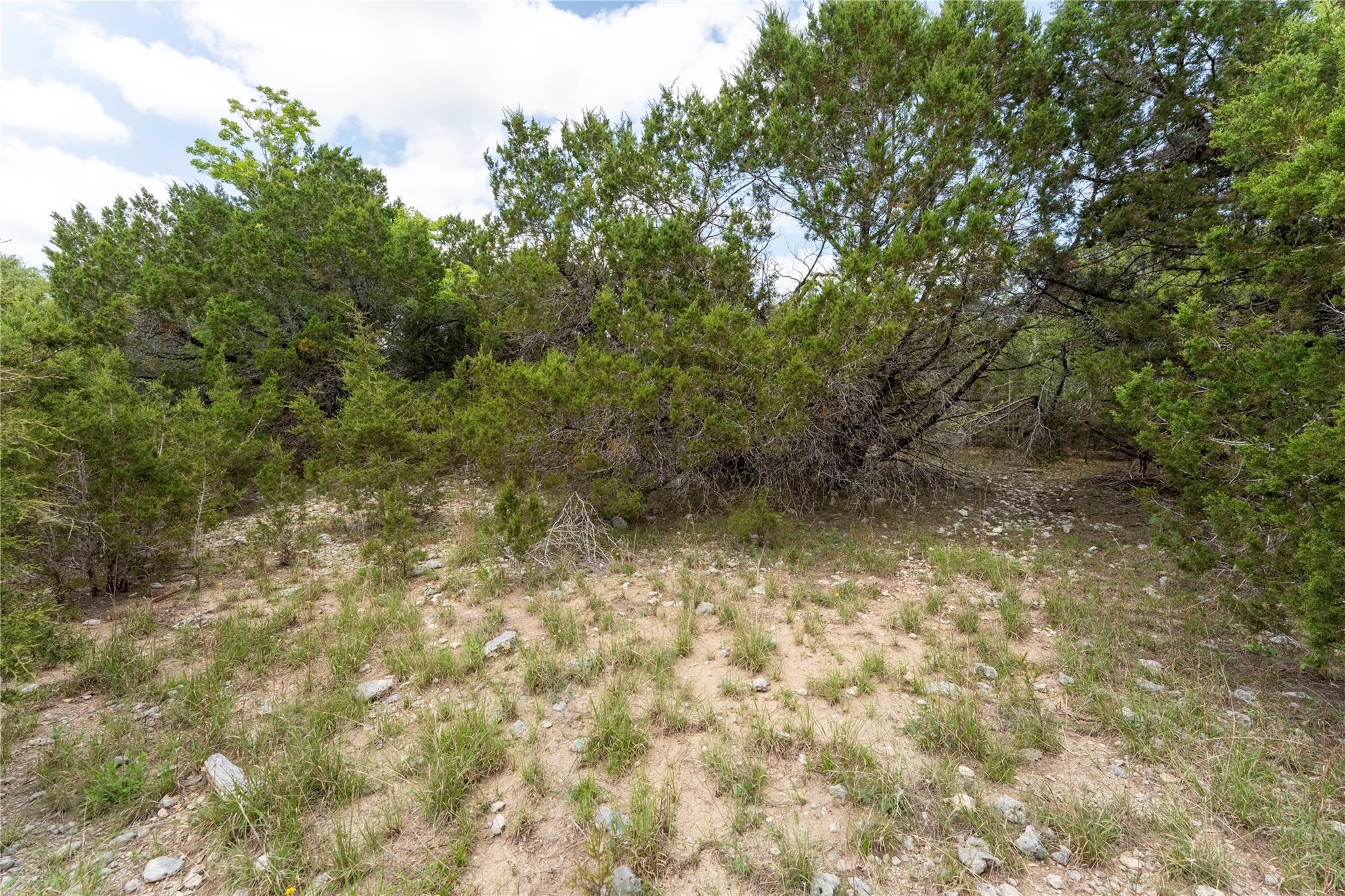 13921 Nutty Brown Rd, Austin, TX 78737