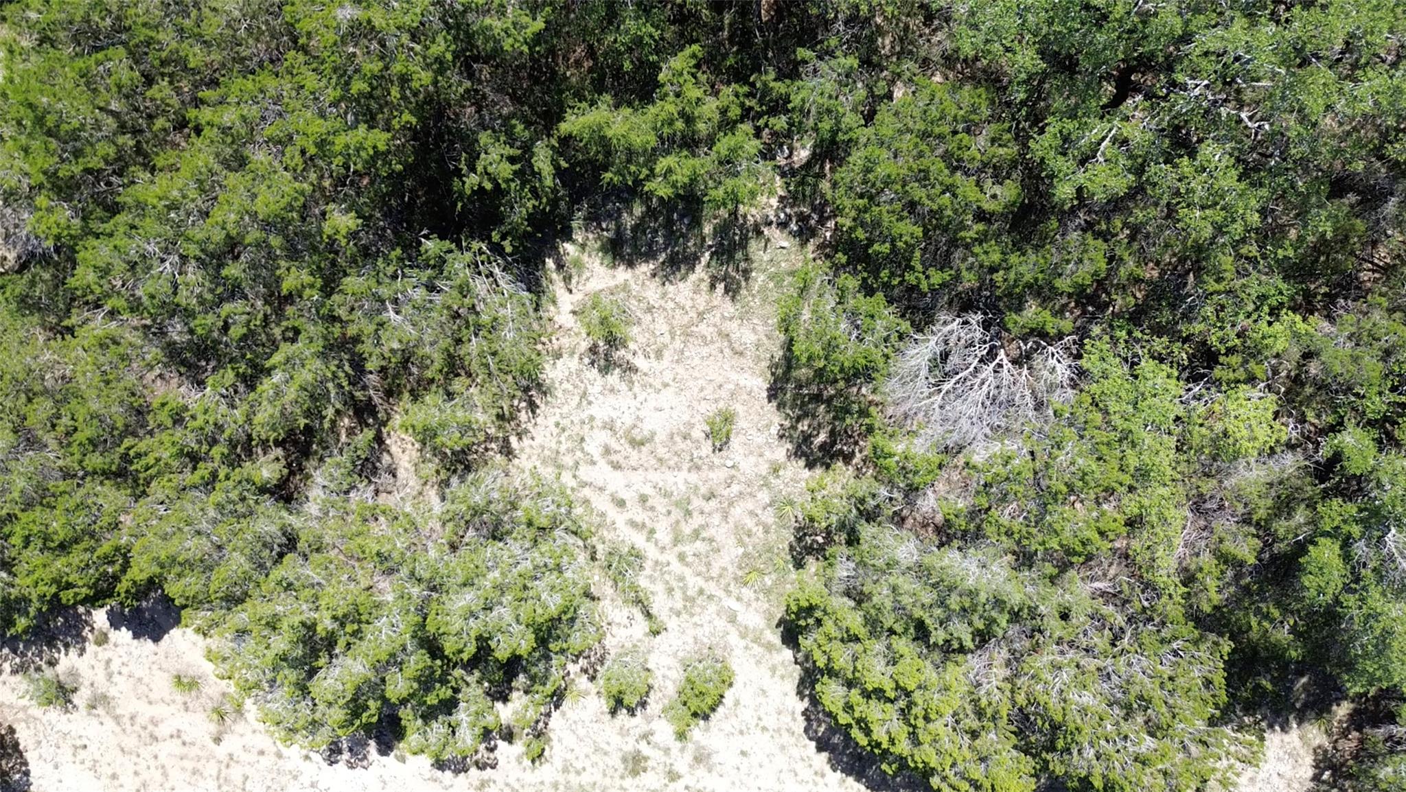 3707 Buckeye Dr, Lago Vista, TX 78645