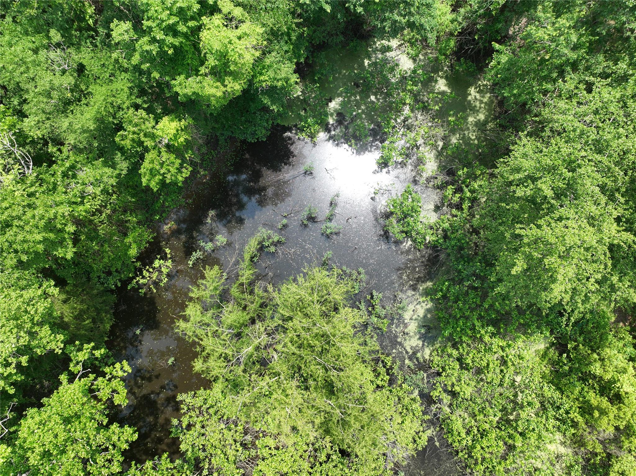 555 Private Road 3428, Milano, TX 76558