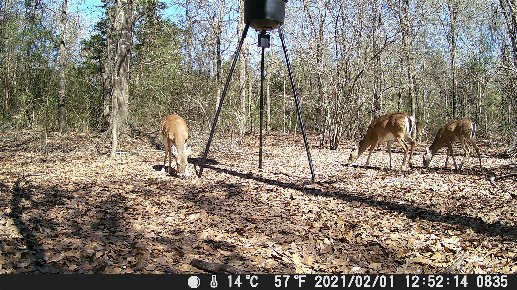 555 Private Road 3428, Milano, TX 76558