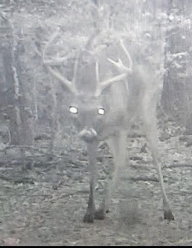 555 Private Road 3428, Milano, TX 76558