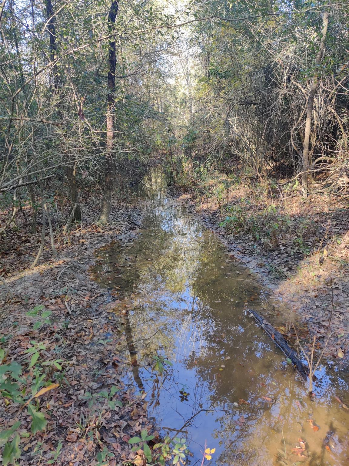 555 Private Road 3428, Milano, TX 76558