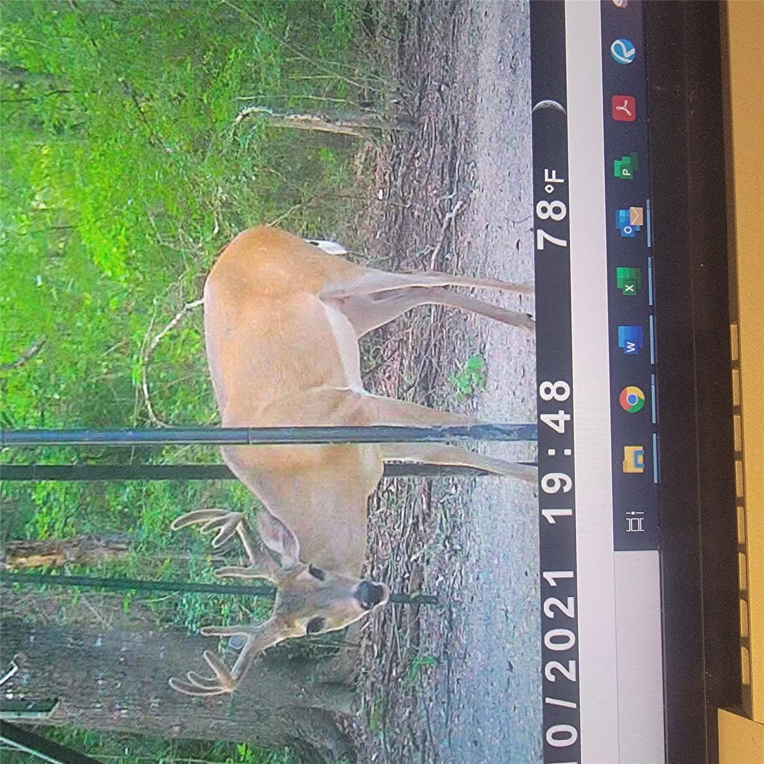 555 Private Road 3428, Milano, TX 76558