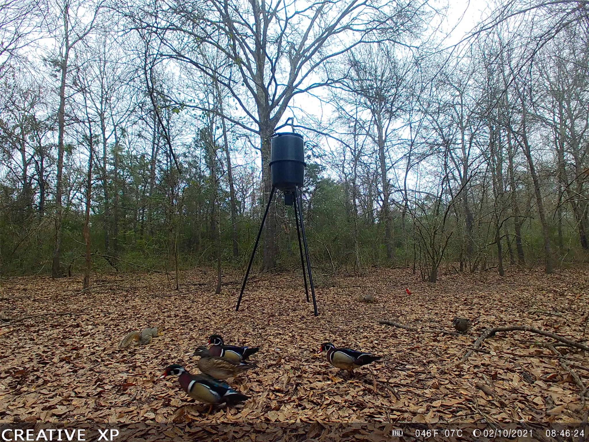 555 Private Road 3428, Milano, TX 76558