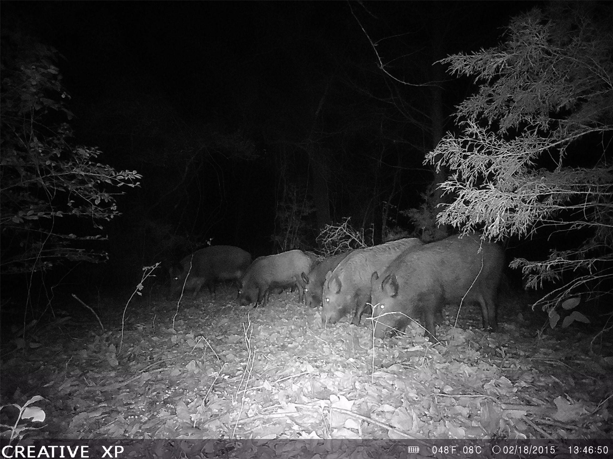 555 Private Road 3428, Milano, TX 76558