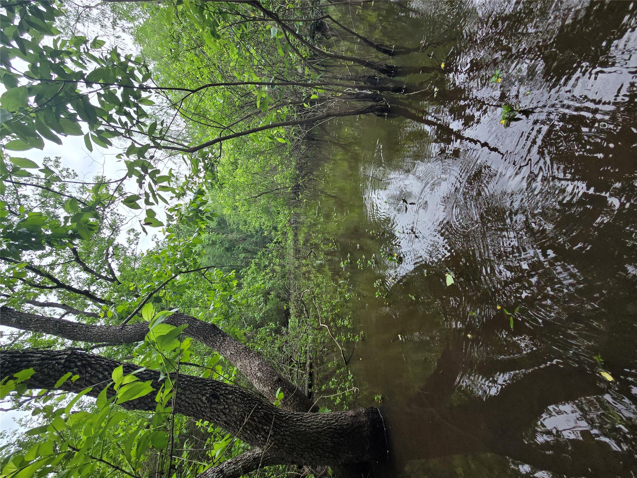 555 Private Road 3428, Milano, TX 76558