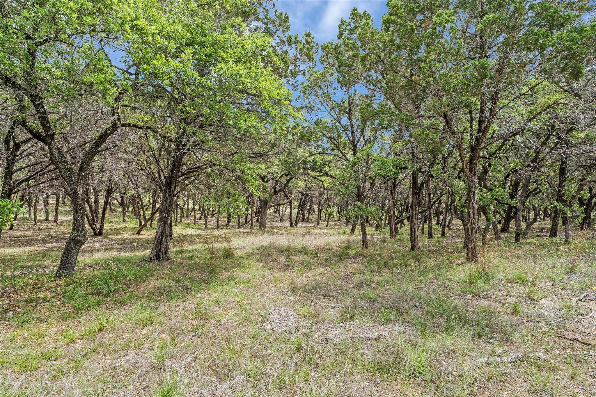 000 Moonridge Ln, Wimberley, TX 78676