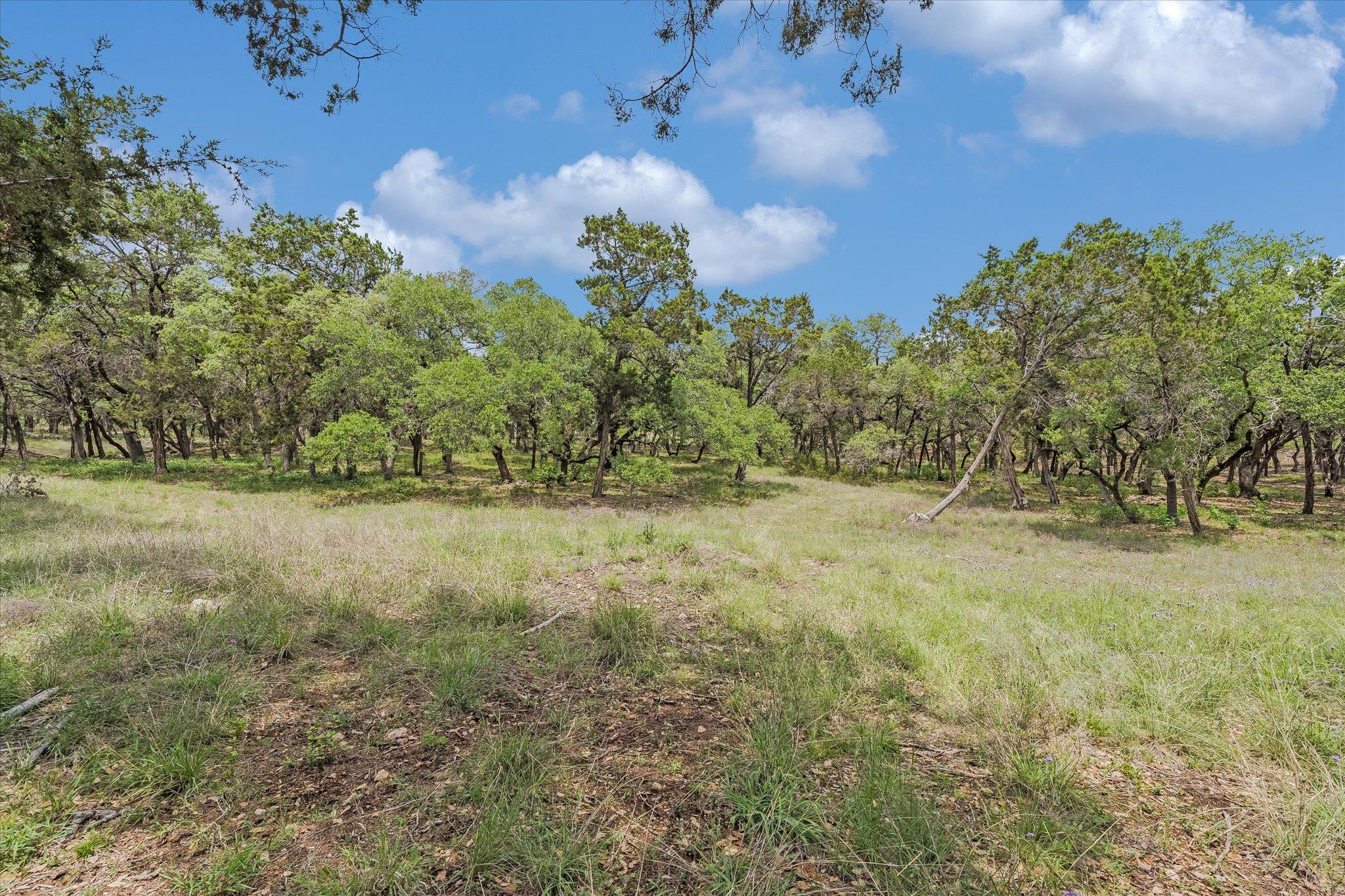 000 Moonridge Ln, Wimberley, TX 78676