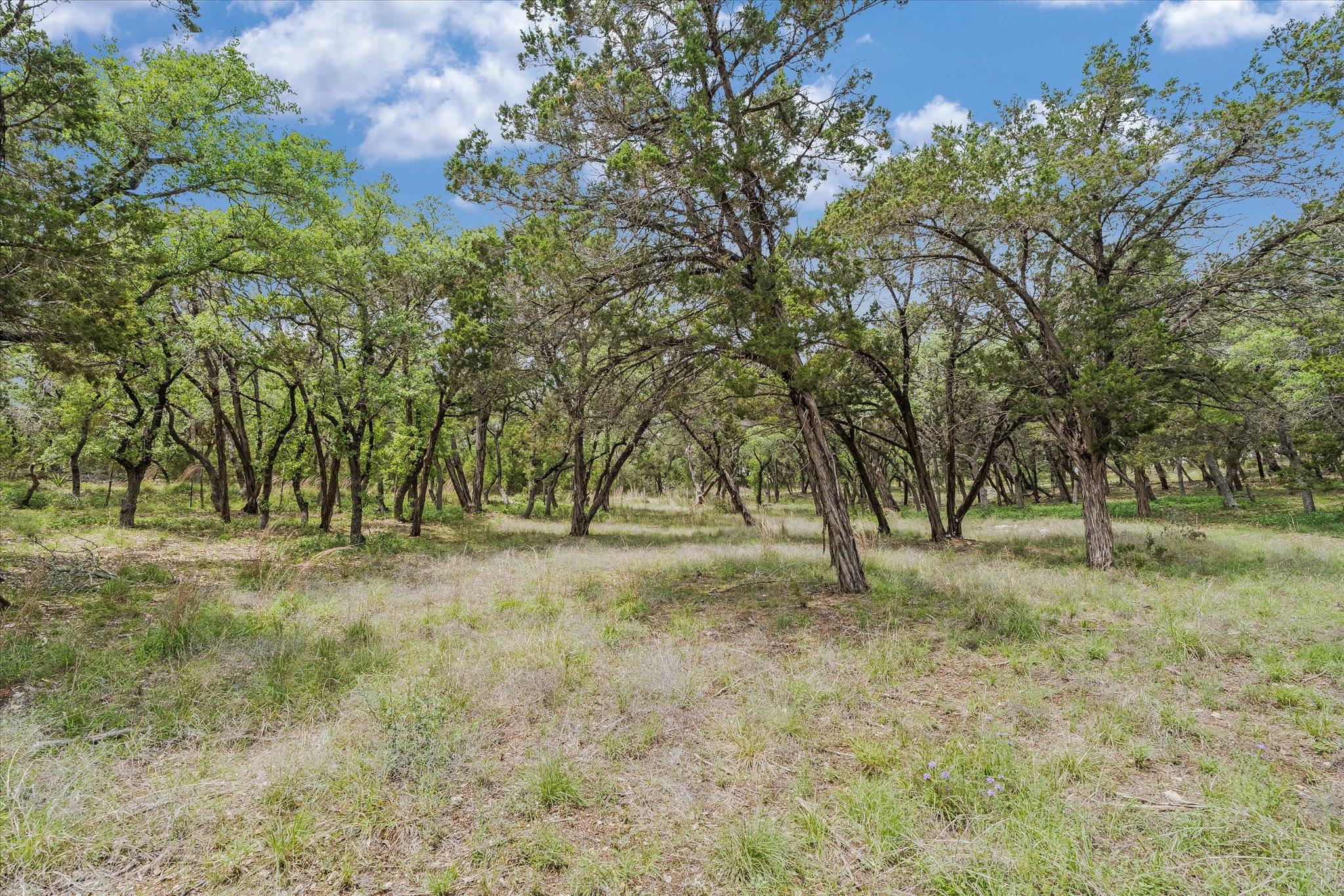 000 Moonridge Ln, Wimberley, TX 78676
