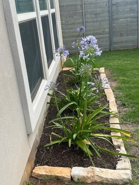 4229 Mercer Rd, Georgetown, TX 78628