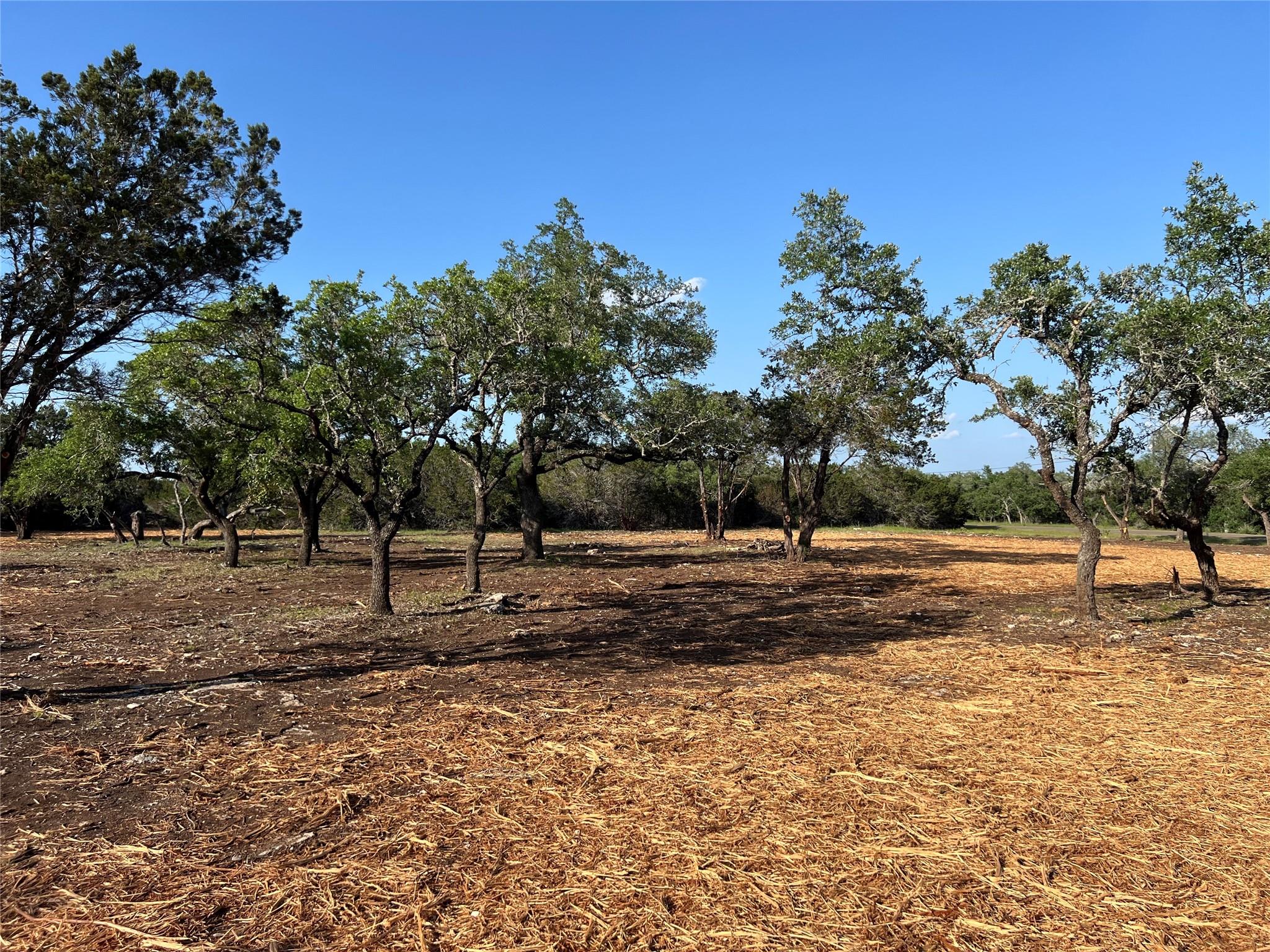 300 Stonegate Ln, Dripping Springs, TX 78620
