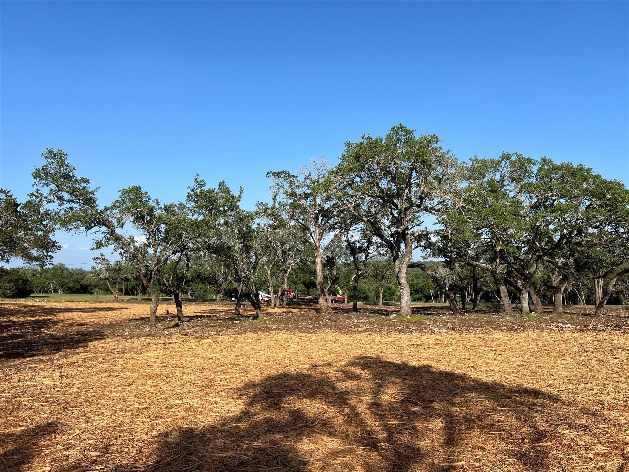 300 Stonegate Ln, Dripping Springs, TX 78620