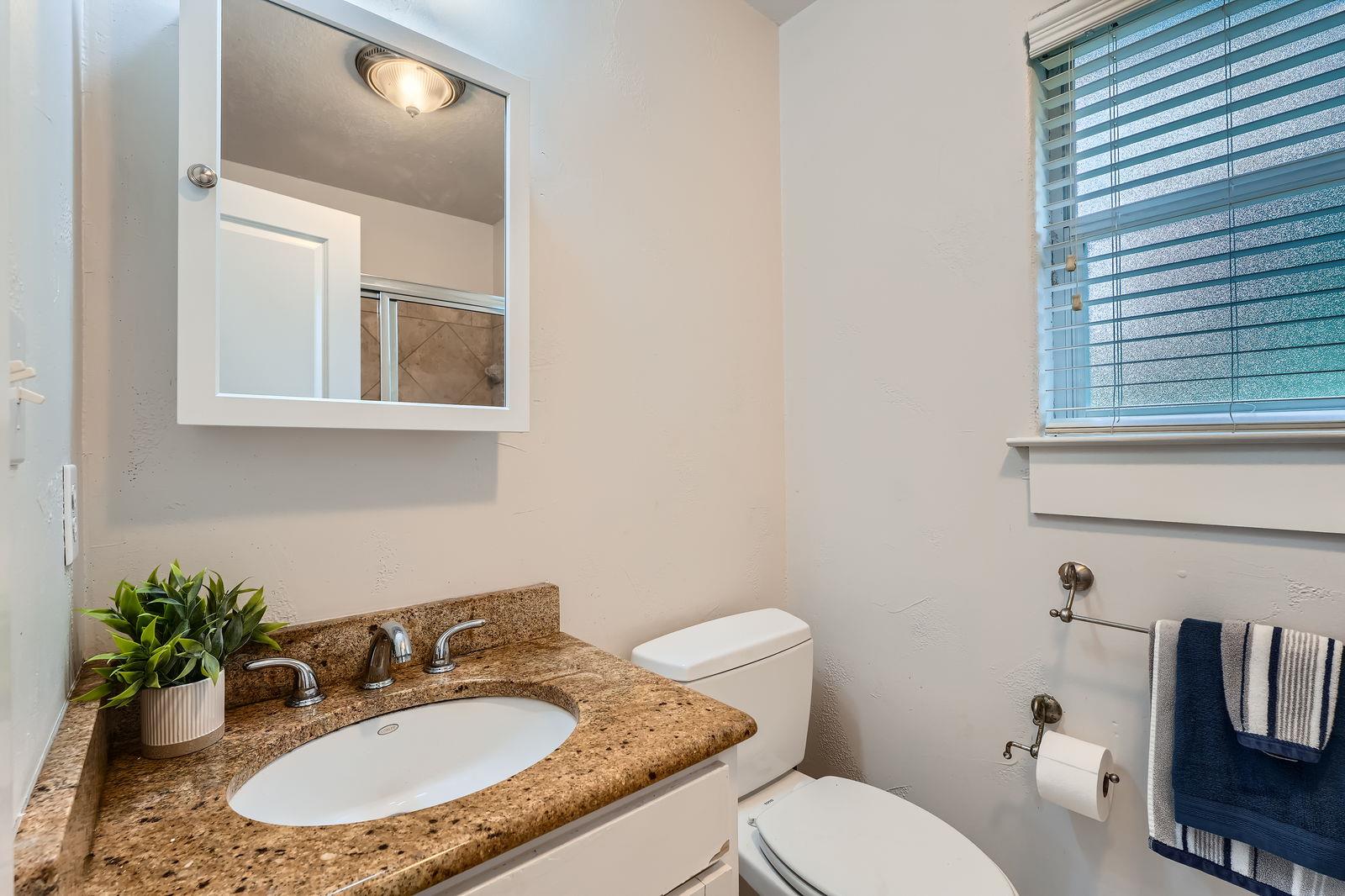 1117 Algarita Ave, Austin, TX 78704
