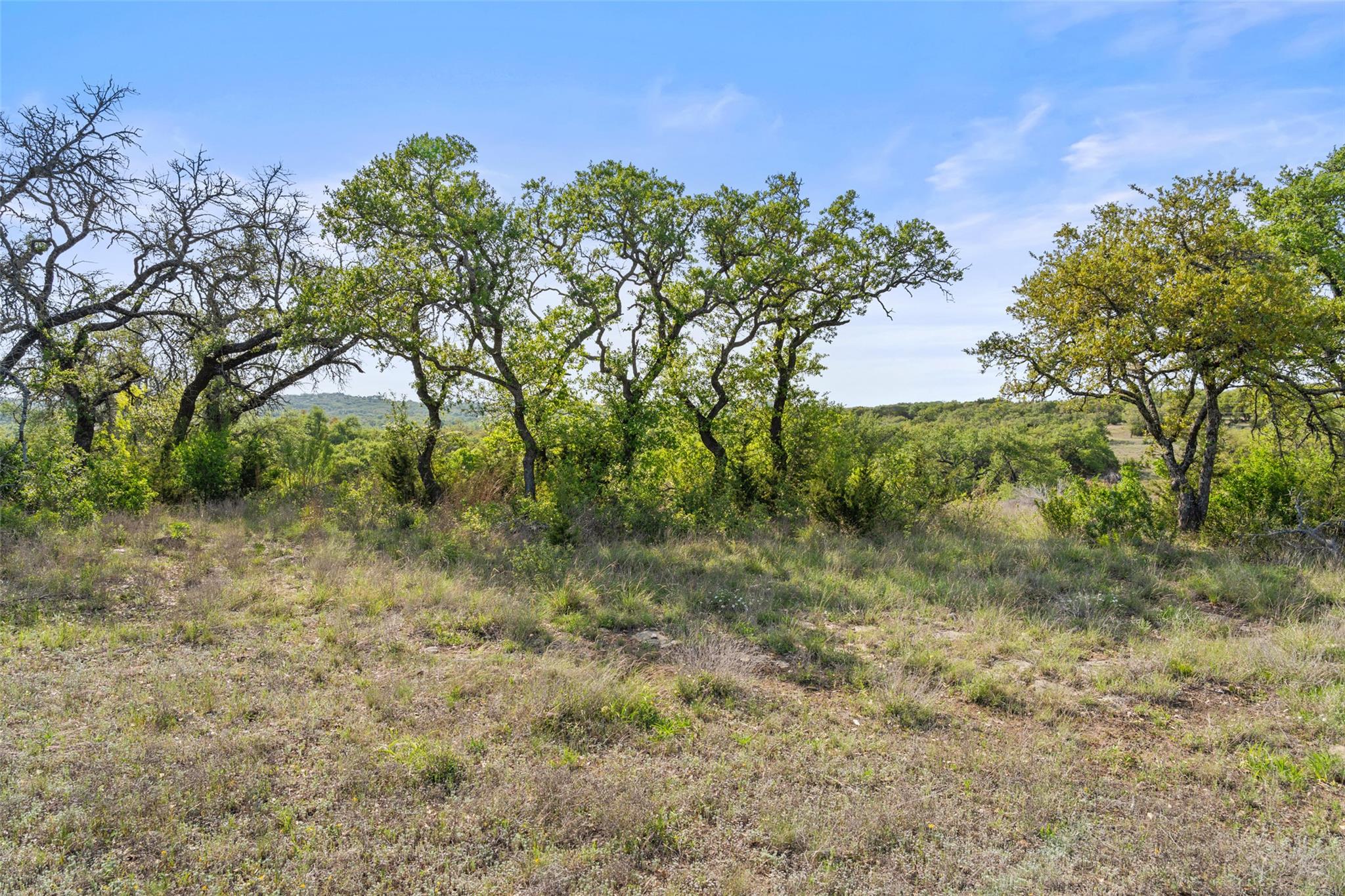 TBD Hwy 290, Johnson City, TX 78636